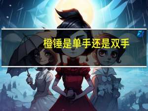 橙锤是单手还是双手（橙锤和al哪个好）