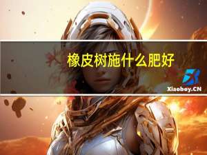 橡皮树施什么肥好