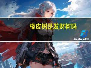 橡皮树是发财树吗