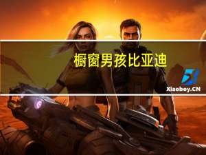 橱窗男孩比亚迪（橱窗男孩）