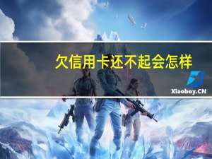 欠信用卡还不起会怎样