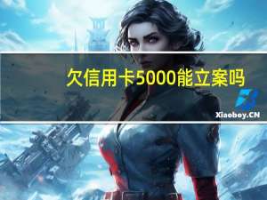欠信用卡5000能立案吗