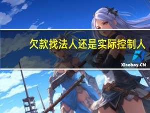 欠款找法人还是实际控制人