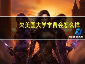 欠美国大学学费会怎么样