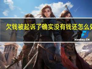 欠钱被起诉了确实没有钱还怎么处理