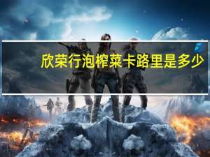 欣荣行 泡榨菜卡路里是多少