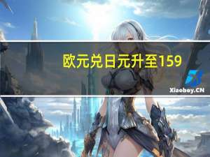 欧元兑日元升至159.945的15年高点日内上涨1%