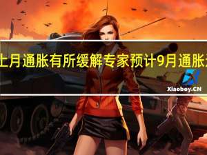 欧元区上月通胀有所缓解 专家预计9月通胀还会显著下降