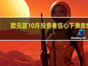 欧元区10月投资者信心下滑放缓