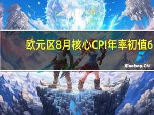 欧元区8月核心CPI年率初值 6.2%预期6.3%前值6.6%