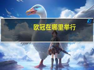 欧冠在哪里举行