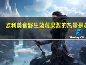 欧利美食 野生蓝莓果酱的热量是多少