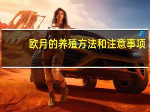 欧月的养殖方法和注意事项