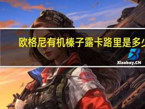 欧格尼 有机榛子露卡路里是多少