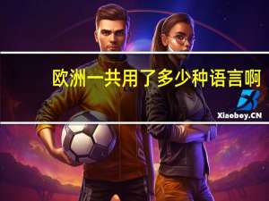 欧洲一共用了多少种语言啊