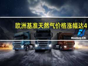 欧洲基准天然气价格涨幅达4.6%至每兆瓦时36.64欧元