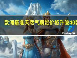 欧洲基准天然气期货价格升破40欧元/兆瓦时
