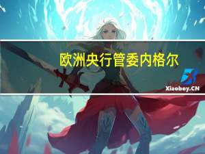欧洲央行管委内格尔：我们在抗击通胀的政策上必须坚持不懈我不认为会出现经济衰退也不认为德国会出现硬着陆的情况