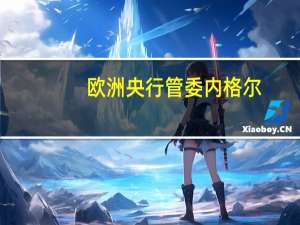 欧洲央行管委内格尔：我的基本预期是我们将以经济软着陆的方式结束这一加息周期