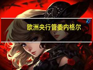 欧洲央行管委内格尔：欧洲央行关键利率将不得不在一段时间内保持高位