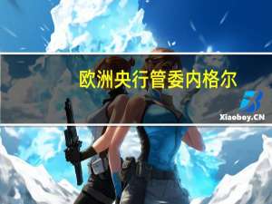 欧洲央行管委内格尔：目前还不清楚我们的利率是否已见顶 过早开始降息是不明智的