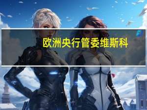 欧洲央行管委维斯科：欧洲央行在减少其资产负债表中的债券方面并未面临问题