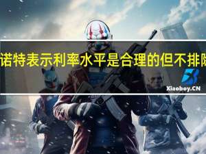 欧洲央行管委诺特表示利率水平是合理的但不排除继续加息的可能性