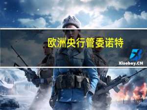欧洲央行管委诺特：我们正在控制通胀