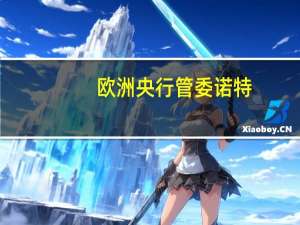 欧洲央行管委诺特：进一步加息是可能的但不是确定的市场可能低估了9月加息的可能性