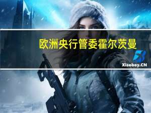 欧洲央行管委霍尔茨曼：劳动力市场仍然紧张