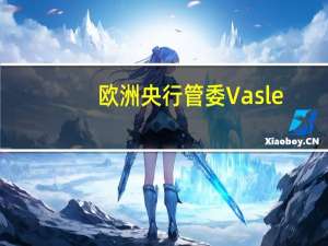欧洲央行管委Vasle：资产购买计划下资产组合的减少可能会加速