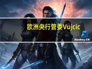欧洲央行管委Vujcic：我们的行动进展顺利