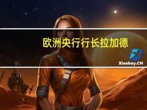 欧洲央行行长拉加德：我们还需要对其中一些变化可能持续更长时间的可能性持开放态度