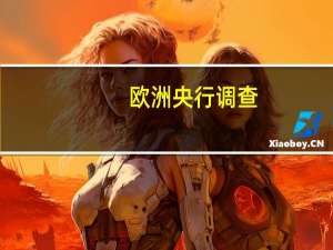 欧洲央行调查：欧元区各银行2023年第三季进一步收紧信贷标准超过预期企业和家庭贷款需求持续大幅下降