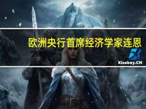欧洲央行首席经济学家连恩：工资指标确实显示出减速应该是一个领先指标