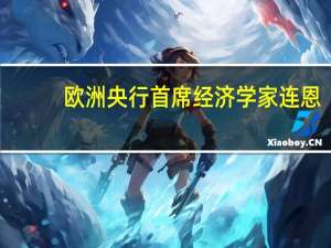 欧洲央行首席经济学家连恩：我们（的决策）依赖数据