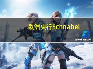 欧洲央行Schnabel：不能关闭进一步加息的大门
