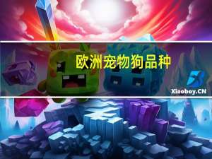 欧洲宠物狗品种