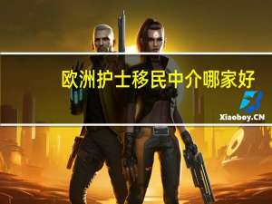 欧洲护士移民中介哪家好