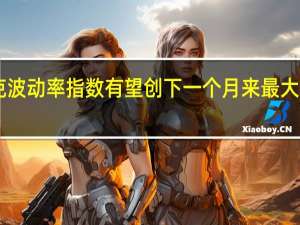 欧洲斯托克波动率指数有望创下一个月来最大单日涨幅现报16.04