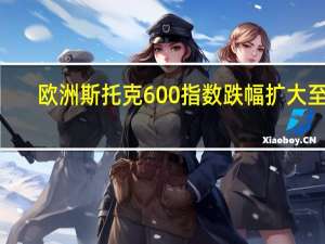 欧洲斯托克600指数跌幅扩大至0.5%