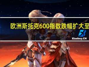 欧洲斯托克600指数跌幅扩大至0.6%