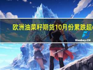 欧洲油菜籽期货10月份累跌超6%