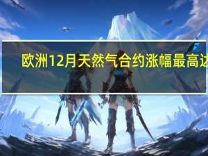 欧洲12月天然气合约涨幅最高达4.5%