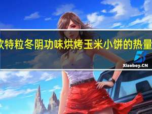 欧特粒 冬阴功味烘烤玉米小饼的热量是多少