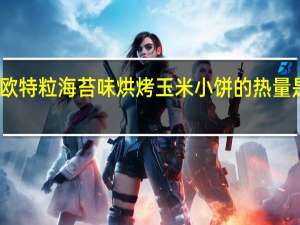 欧特粒 海苔味烘烤玉米小饼的热量是多少