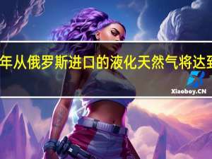 欧盟今年从俄罗斯进口的液化天然气将达到创纪录水平