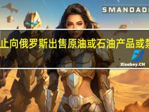 欧盟制裁提案显示欧盟将禁止向俄罗斯出售原油或石油产品或禁止在俄罗斯使用任何来源的油轮