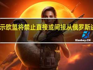 欧盟制裁提案显示欧盟将禁止直接或间接从俄罗斯进口、购买或转让钻石