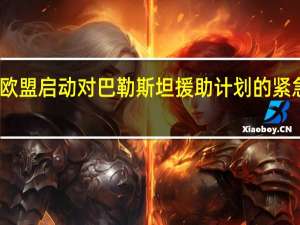 欧盟启动对巴勒斯坦援助计划的紧急审查